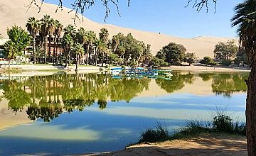 Paracas – Viñedo de Tacama – Tour ruta del Pisco – Visita Oasis de Huacachina – Retorno a Paracas (Desayuno y Almuerzo)