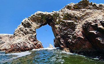 Paracas – Tour Islas Ballestas en Paracas – Tarde libre (Desayuno)