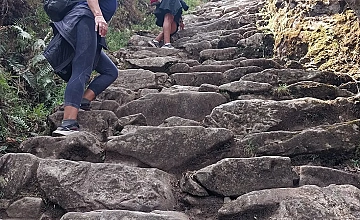 Ollantaytambo – Km 104 – Chachabamba – Wiñayhuayna – Puerta del Sol o Intipunku – Machupicchu – Aguas calientes (Box lunch)