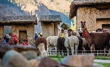 (22 DE JUNIO DEL 2026) Ollantaytambo – Pinkuylluna – Ciudad Inka viviente de Ollantaytambo – Almuerzo ancestral “Pachamanca” (Desayuno y Almuerzo)