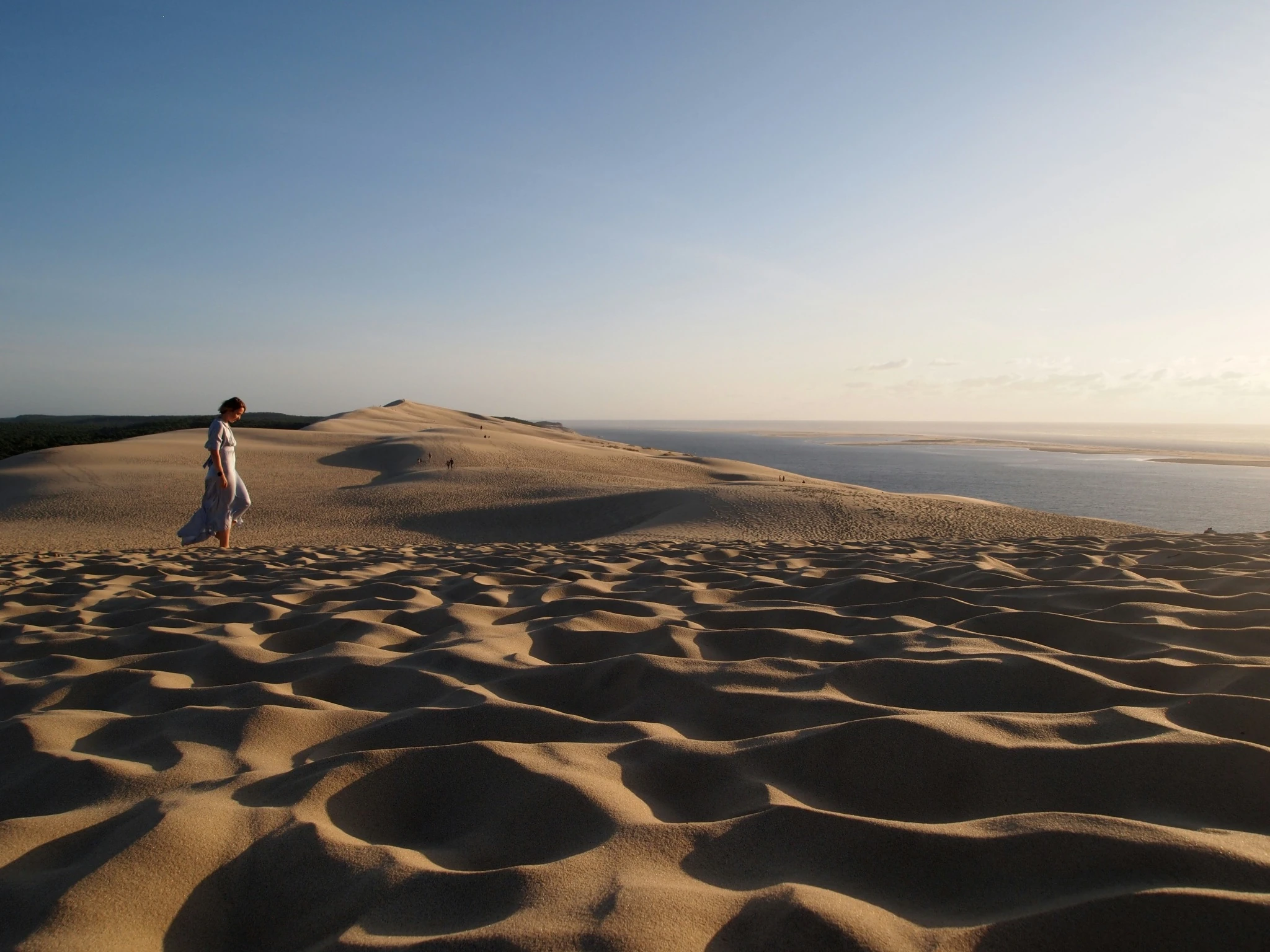 Tour Full Day Paracas, Viñedo Tacama y Oasis de Huacachina